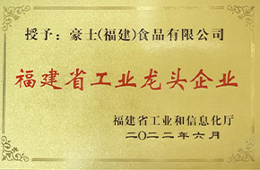 福建省工業(yè)龍頭企業(yè)